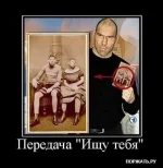 c3c223db8695.webp