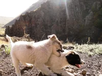 SAM_1602.webp