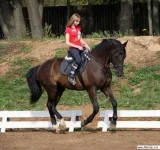 12854-79268.webp