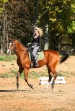 001.webp