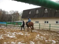 IMG_0057_thumb.webp