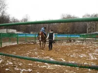 IMG_0051_thumb.webp