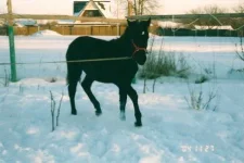 22 пытаемся бегать на корде.webp