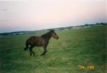 26 один год.webp