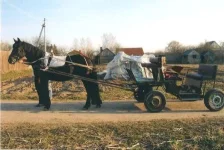 34 в тележке 2009г.webp
