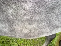 031020102176.webp
