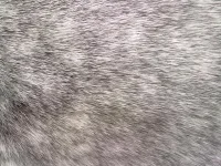 031020102177.webp
