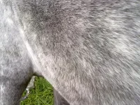 031020102180.webp