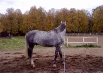 031020102191.webp