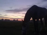 061020102193.webp