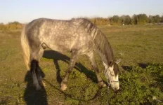 091020102239.webp