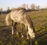 091020102248.webp
