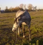 091020102249.webp