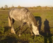 091020102250.webp