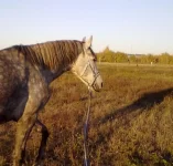 091020102255.webp