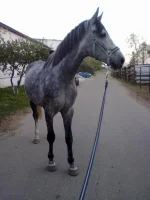 091020102259.webp