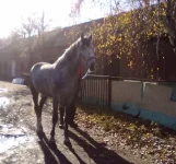 311020102261.webp