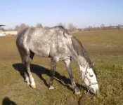 311020102268.webp