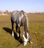 311020102270.webp