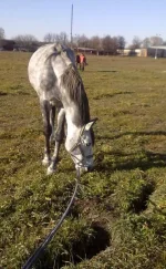 311020102275.webp