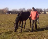 311020102283.webp