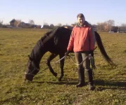 311020102286.webp