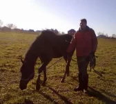 311020102290.webp