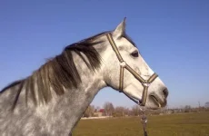 311020102285.webp