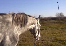 311020102291.webp