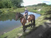 x_8a127715.webp