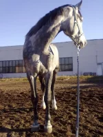 311020102295.webp