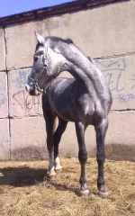 03042010047.webp