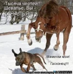 x_0aff6b1c.webp