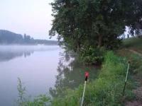 лето4.webp