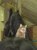 IMG_5703.webp