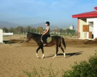 Теймирлен.webp