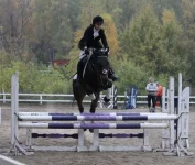 x_2a9822dc.webp