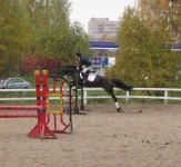 x_109aaccc.webp