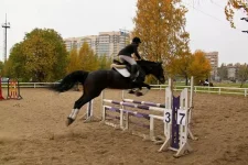 x_770b5a3f.webp