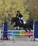 x_d912b638.webp