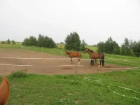 x_13bc33b7.webp