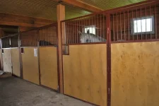 x_74a776ac.webp