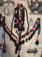 DSCF4836.webp