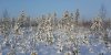 s20160122_135238.jpg