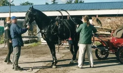 09.2006_Бобровник.webp