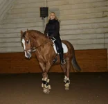 x_0382d865.webp