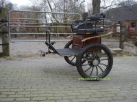 Buggy-Gig.webp