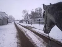 211120102301.webp