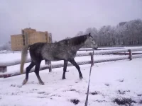211120102334.webp