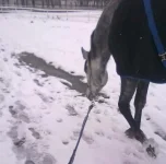 211120102336.webp